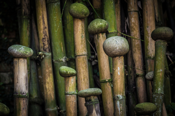 Kathmandu / bamboo garden